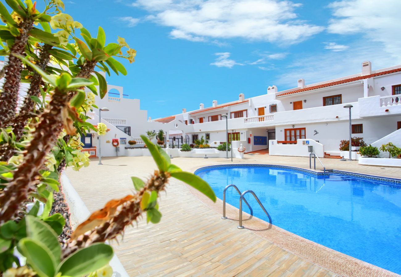 Estudio en Los Cristianos - Relaxing Studio Los Cristianos,AirCon, Heated Pool 