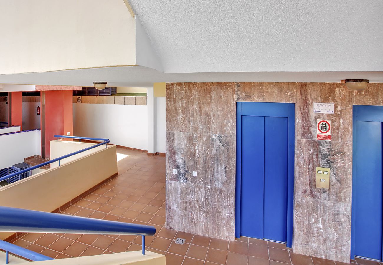 Apartamento en Costa Adeje - Panoramic Big Apartment, Huge Terrace, Parking