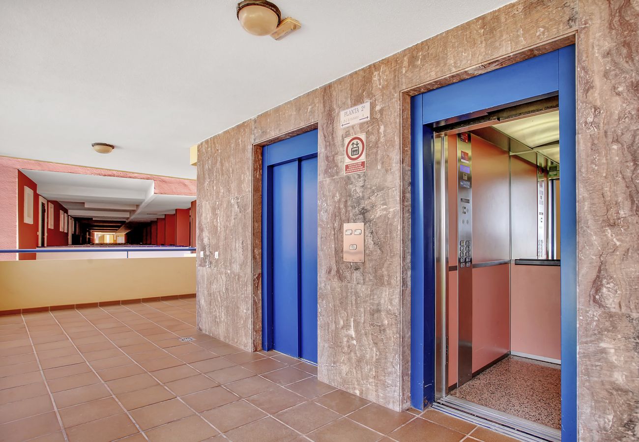 Apartamento en Costa Adeje - Panoramic Big Apartment, Huge Terrace, Parking