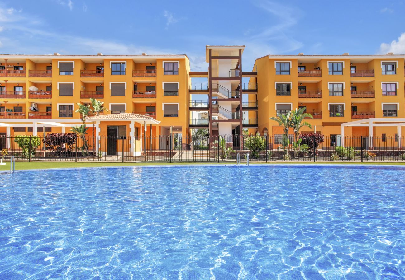 Apartamento en Palm - Mar - Lovely Mocan, Pool, Fast Wi Fi