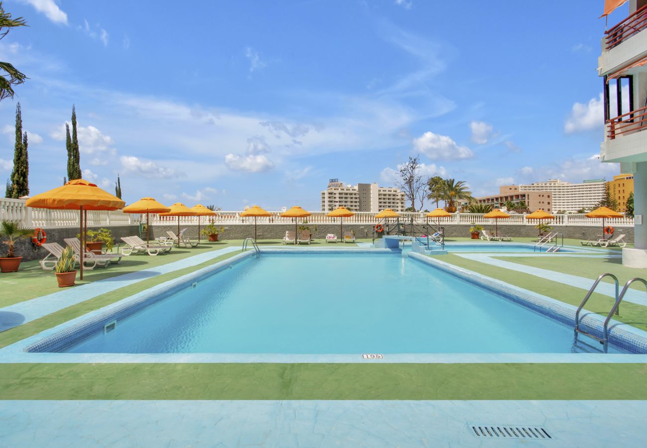 Studio in Playa de Las Americas - Ocean Touch Studio, Pool, Wi-Fi, Near the Beach