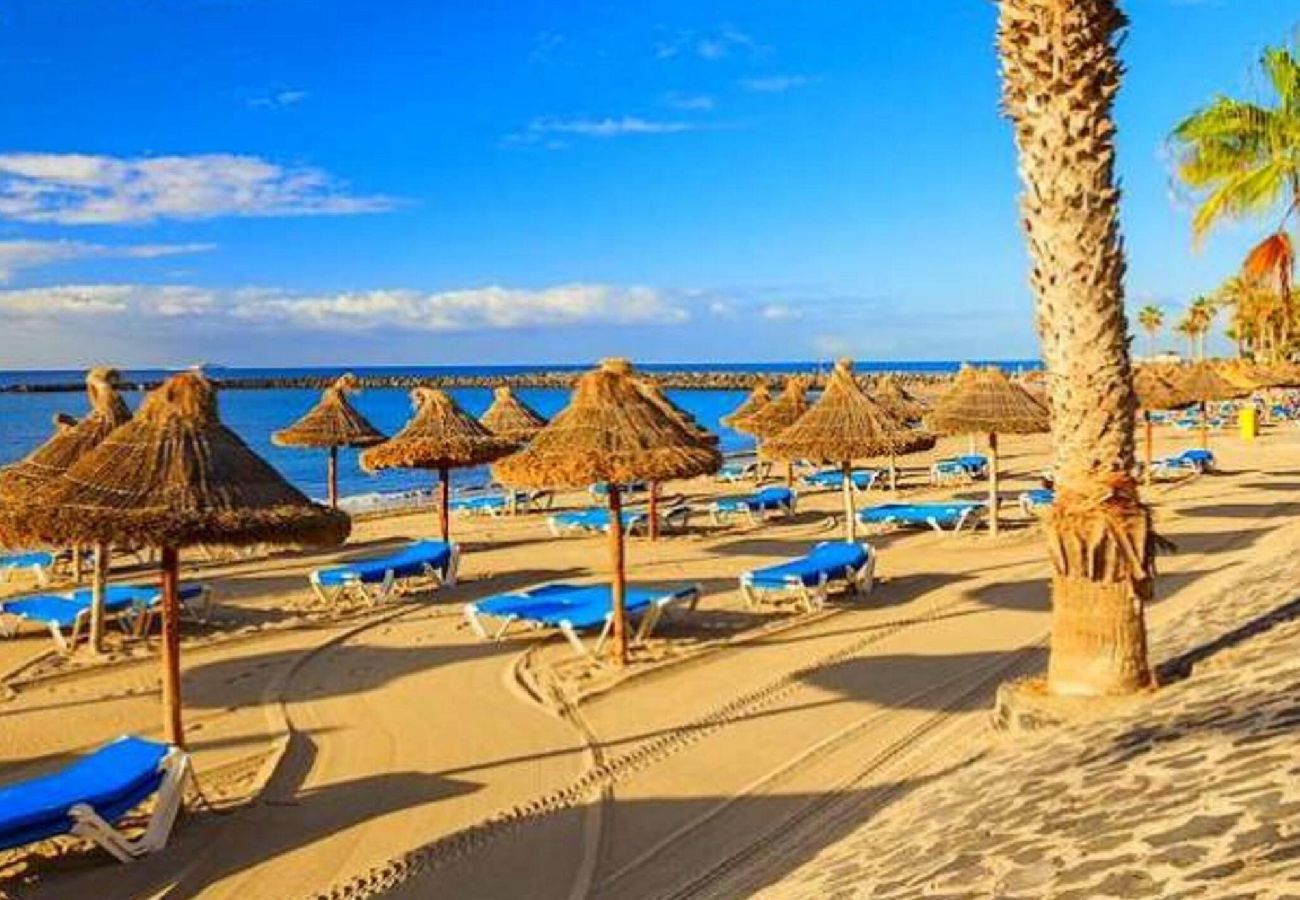 Apartment in Los Cristianos - Stunning View Penthouse, Big Terrace, Heated Pool 