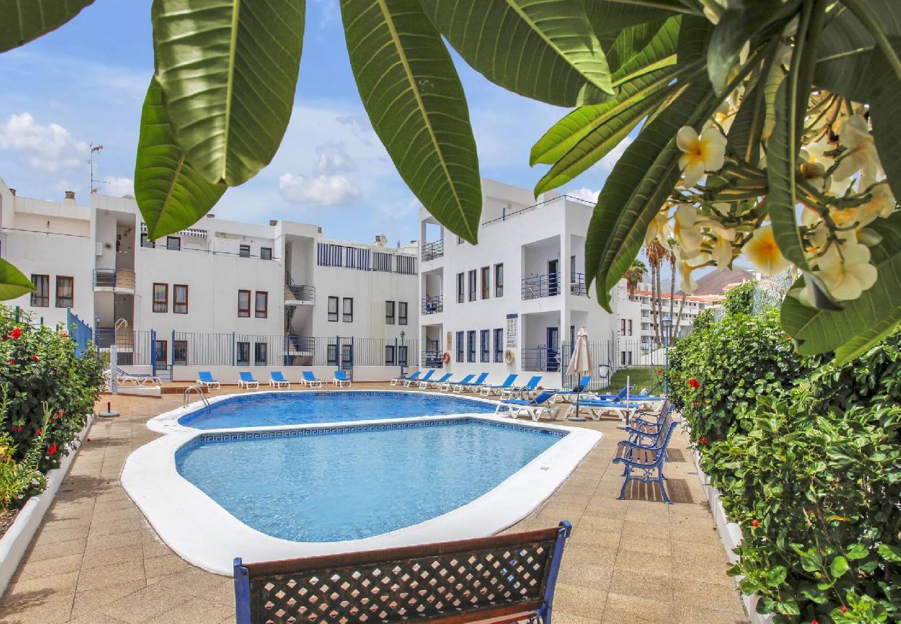 Appartement à Los Cristianos - Ferdy's Home, Pool, Wi Fi, Downtown Los Cristianos 