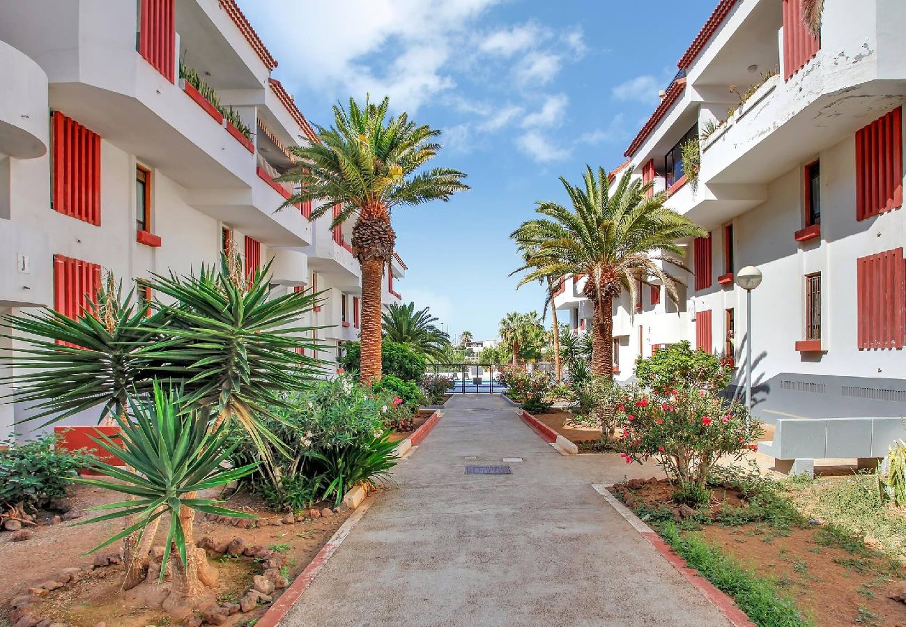 Appartamento a Playa de Las Americas - Charming Las Americas, Terrace, Fiber, Pool 