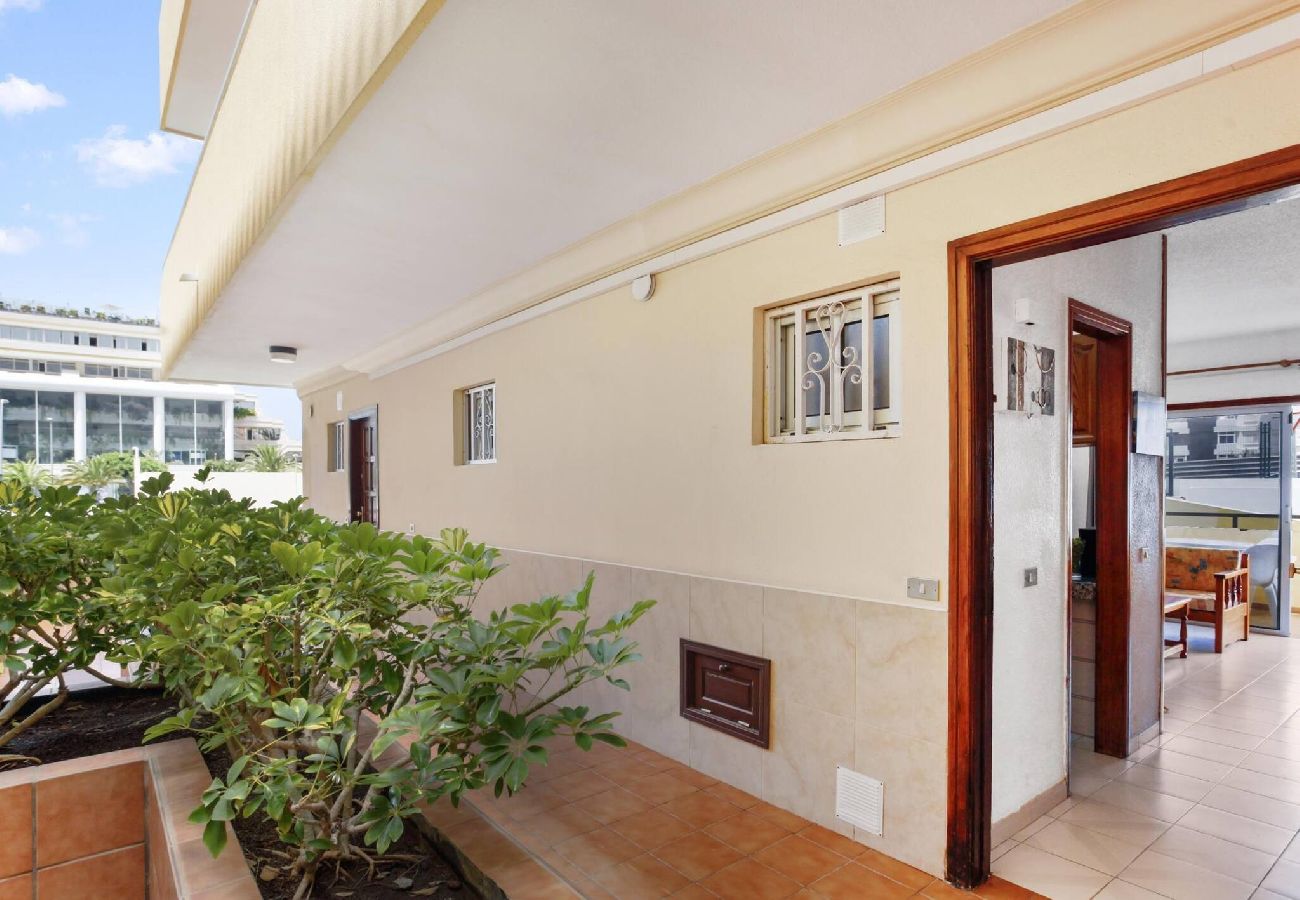 Appartamento a Los Cristianos - The Atlantic Holidays, 170 m. From The Sea 